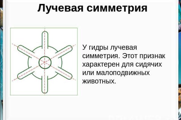 Ссылка на kraken официав