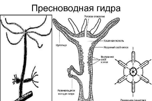 Войти в кракен