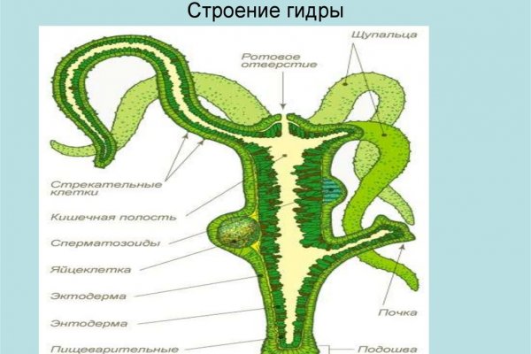 Кракен ru