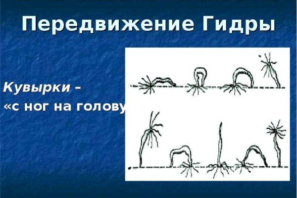 Как настроить сайт кракен