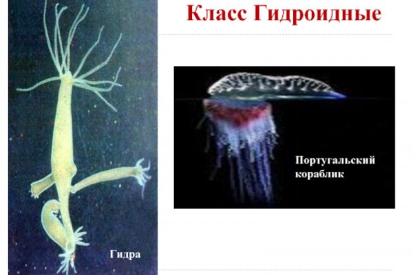Кракен клир ссылка